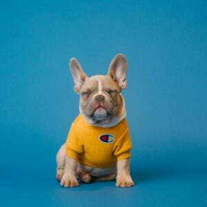 Deutscher Schäferhund – Treuer Begleiter T-Shirt